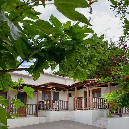 Komitsa Luxury Aparthotel Nea Roda