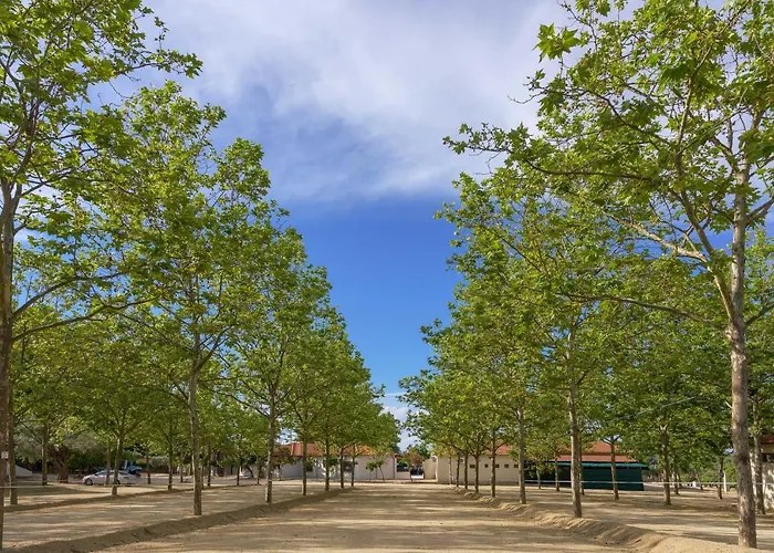 Apart Otel Komitsa Luxury